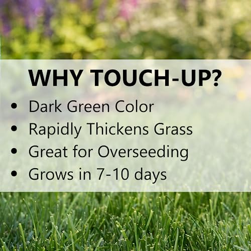 3 lb Perennial Ryegrass Grass Seed M1231