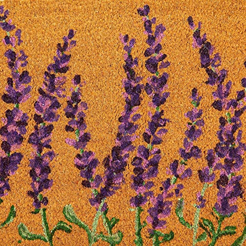 Lavender Coir Door Mat 17x30 inches P11821