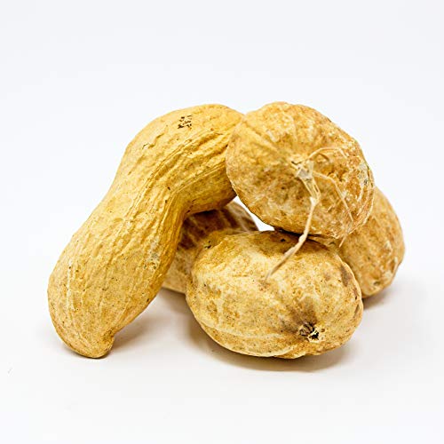 Whole in Shell Raw Peanuts 10lb N34085