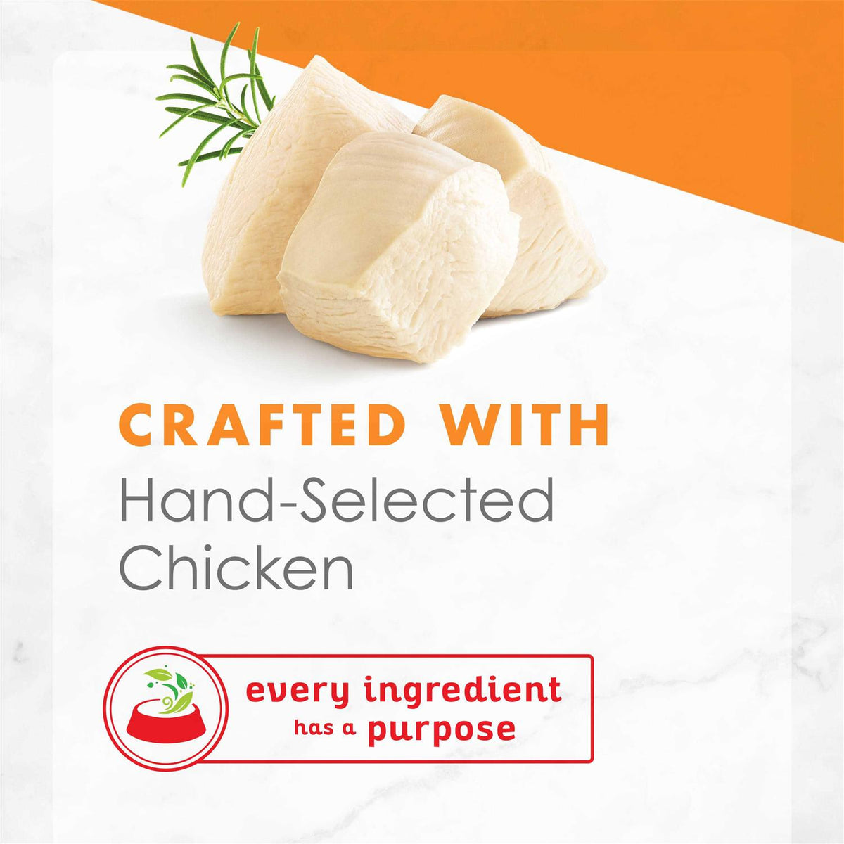 White Meat Chicken Broth Wet Cat Food B426