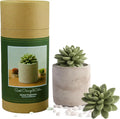 Gypsum Ceramic Fragrance Diffuser Vase Set 100ml L7316