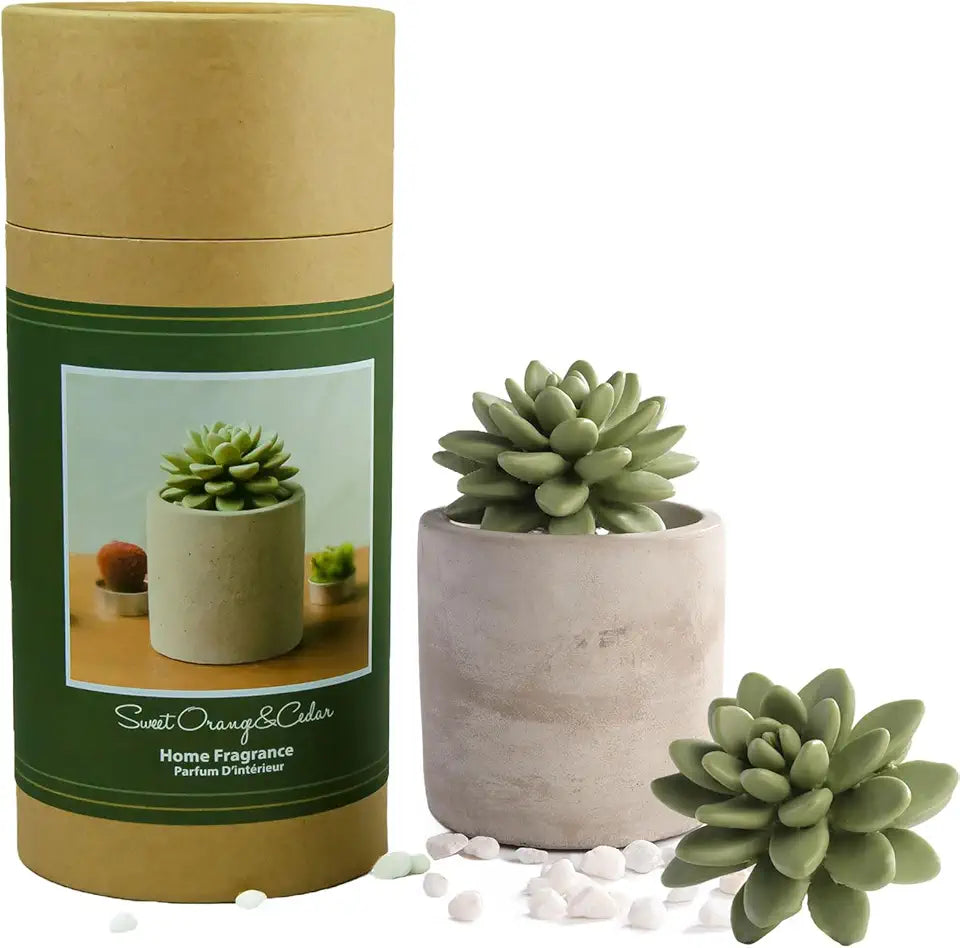 Gypsum Ceramic Fragrance Diffuser Vase Set 100ml L7316