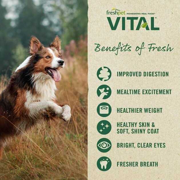 Grain-Free Chicken Small Breed Dog Food E623