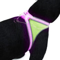 Multicolor Reflective LED Dog Harness N6863