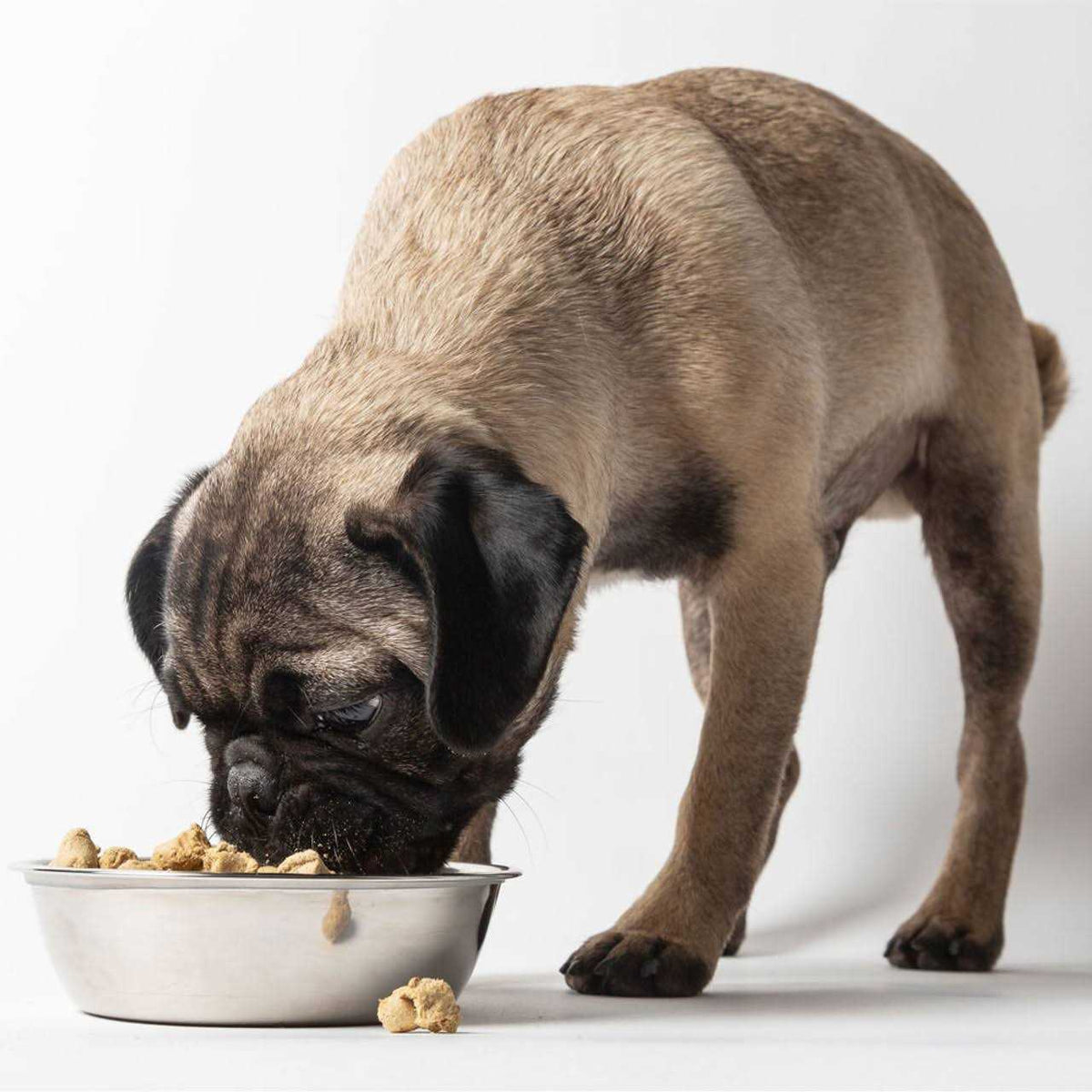 Freeze Dried Dog Food G103
