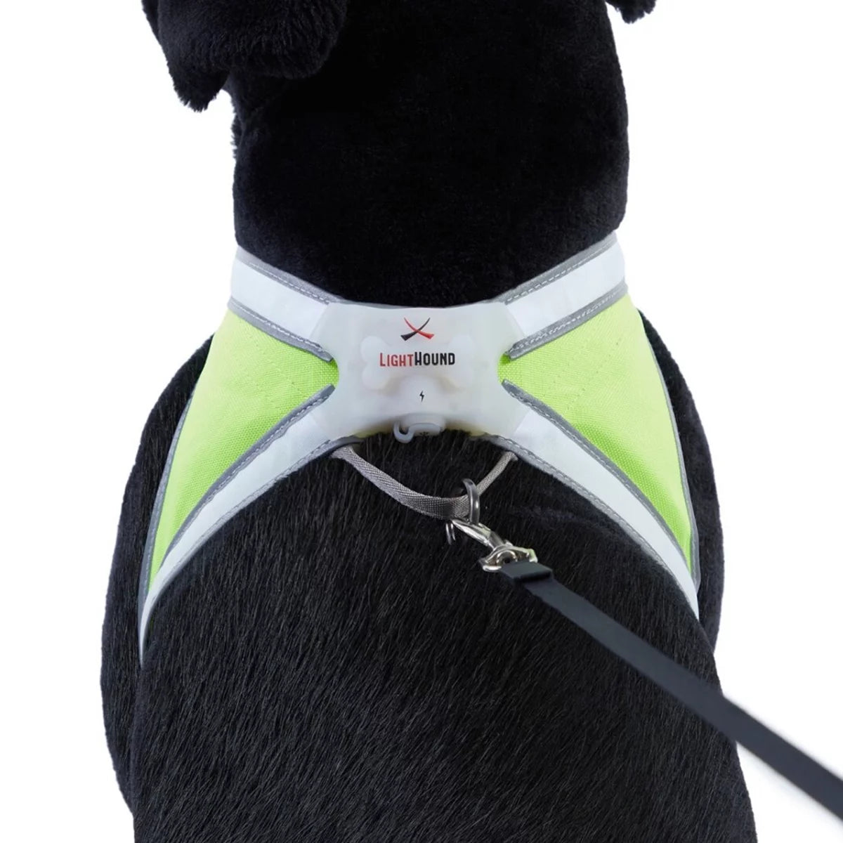 Multicolor Reflective LED Dog Harness N6863