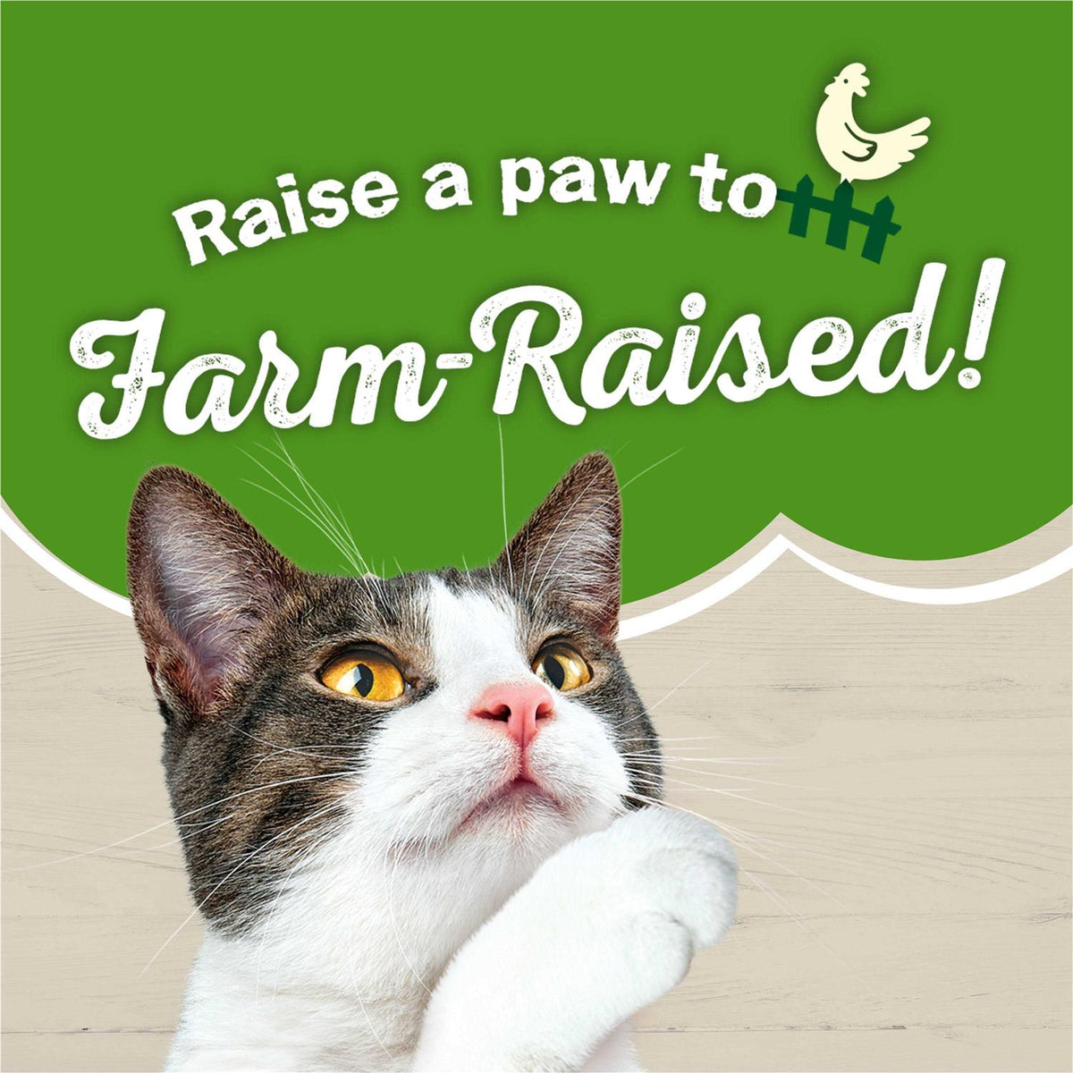 Farm Favorites Pate Wet Cat Food Variety Pack I9607