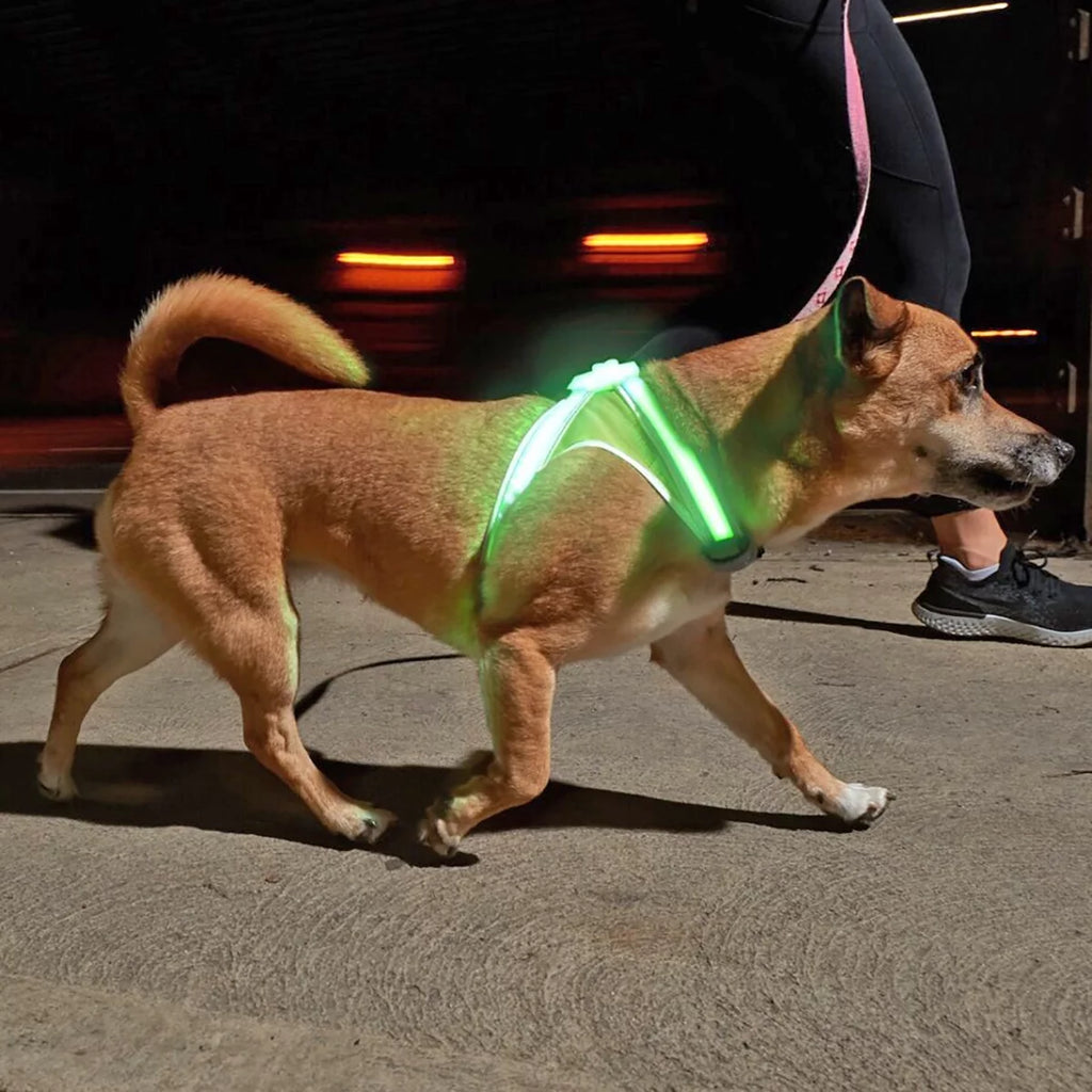 Multicolor Reflective LED Dog Harness N6863