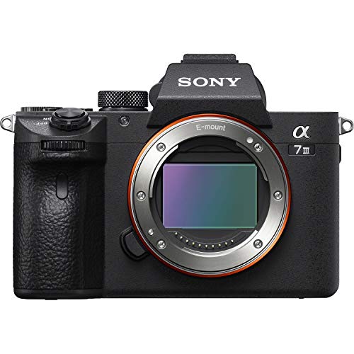 Full-frame Mirrorless Interchangeable-Lens Camera with 28-70mm Lens, Black R9777