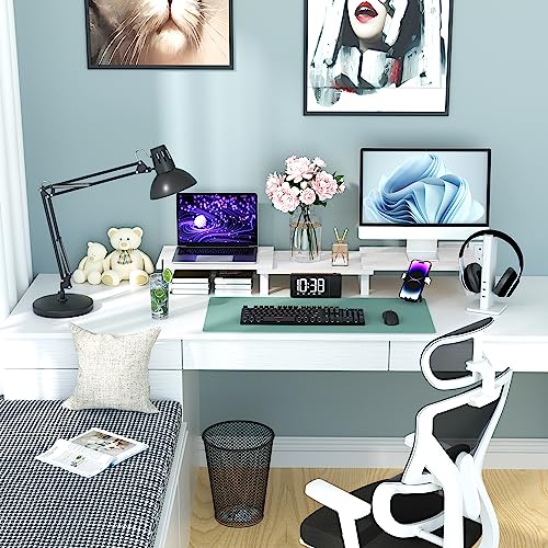 Large Dual Monitor Stand Wood Light Gray Y689