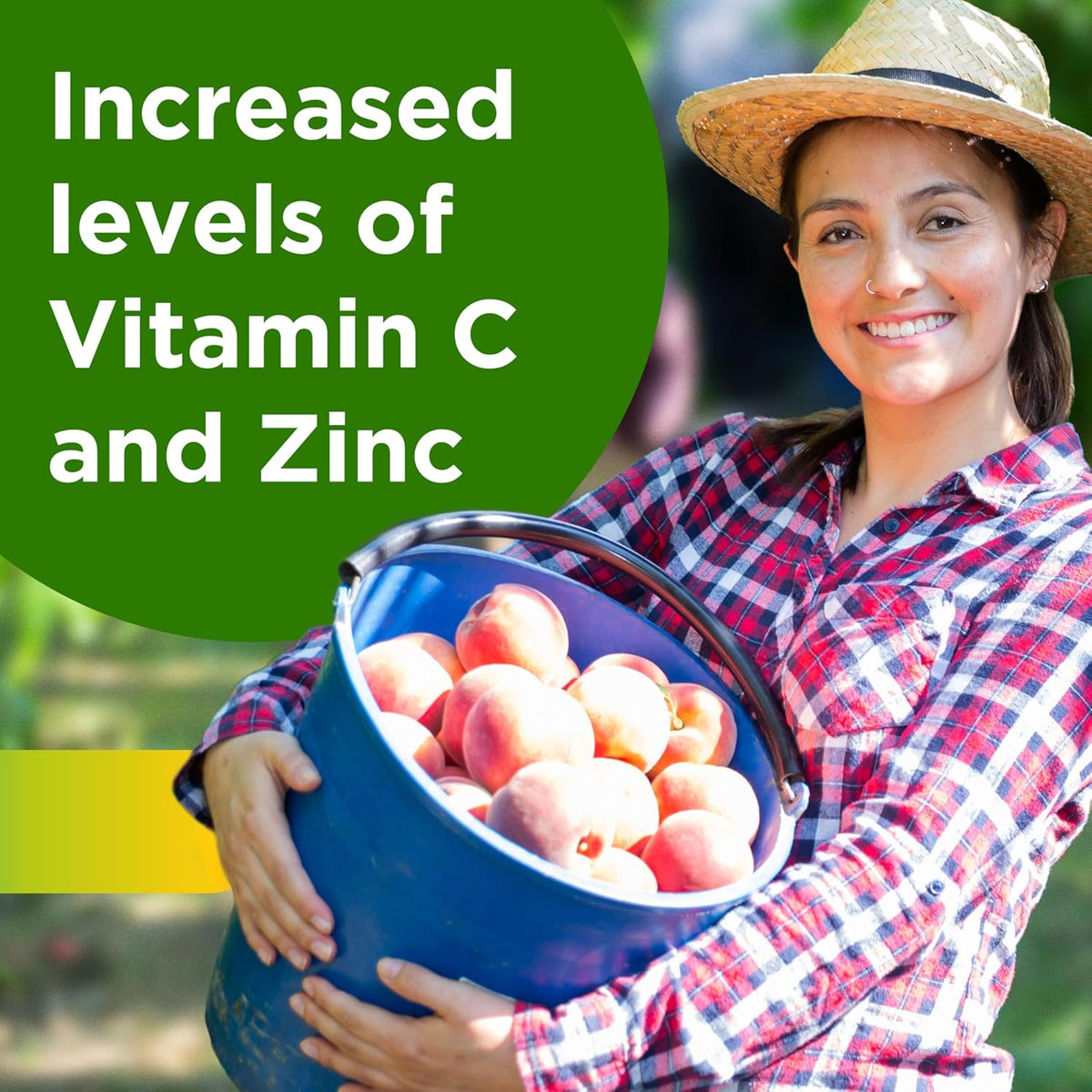 200 Count Adult Multivitamin Supplement with Zinc, Vitamin D3, B Vitamins F4888