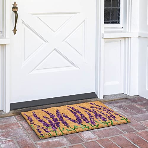 Lavender Coir Door Mat 17x30 inches P11821