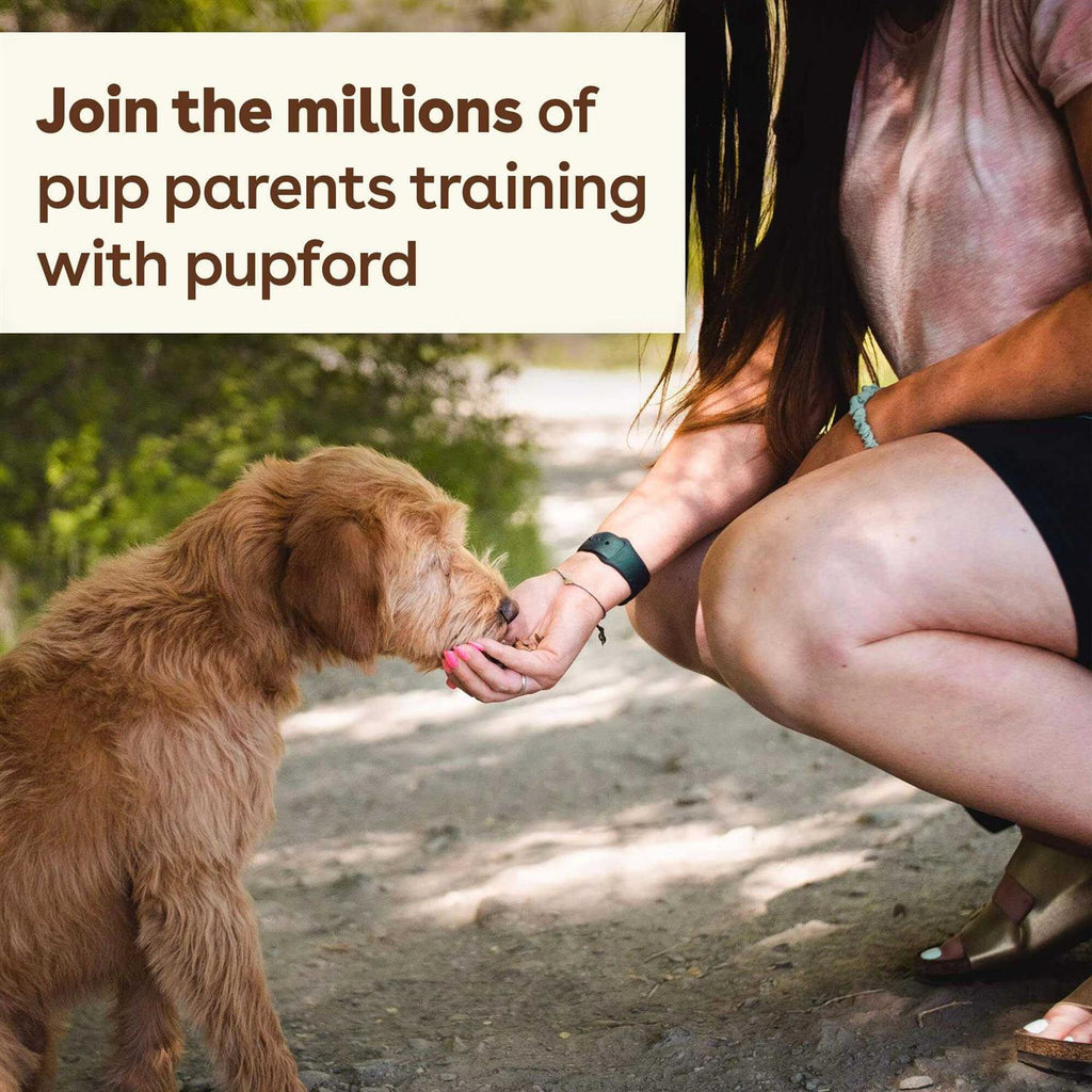 Freeze Dried Dog Training Treats R819