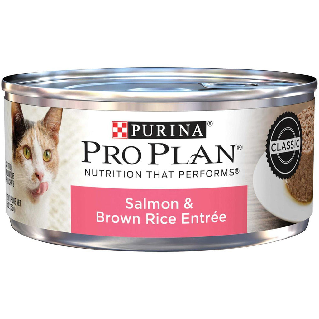 Wet Cat Food T6342