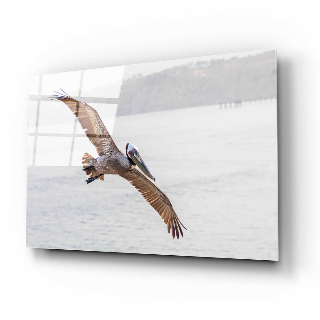 Acrylic Glass Wall Art C10182