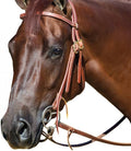 Double Ring Snaffle Bit O255
