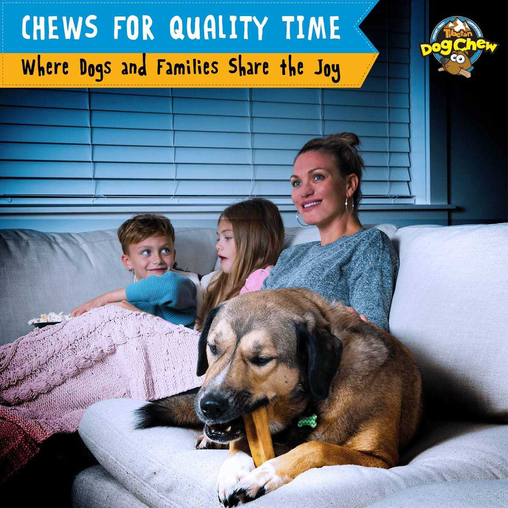 Yak Cheese Dog Chew D9510