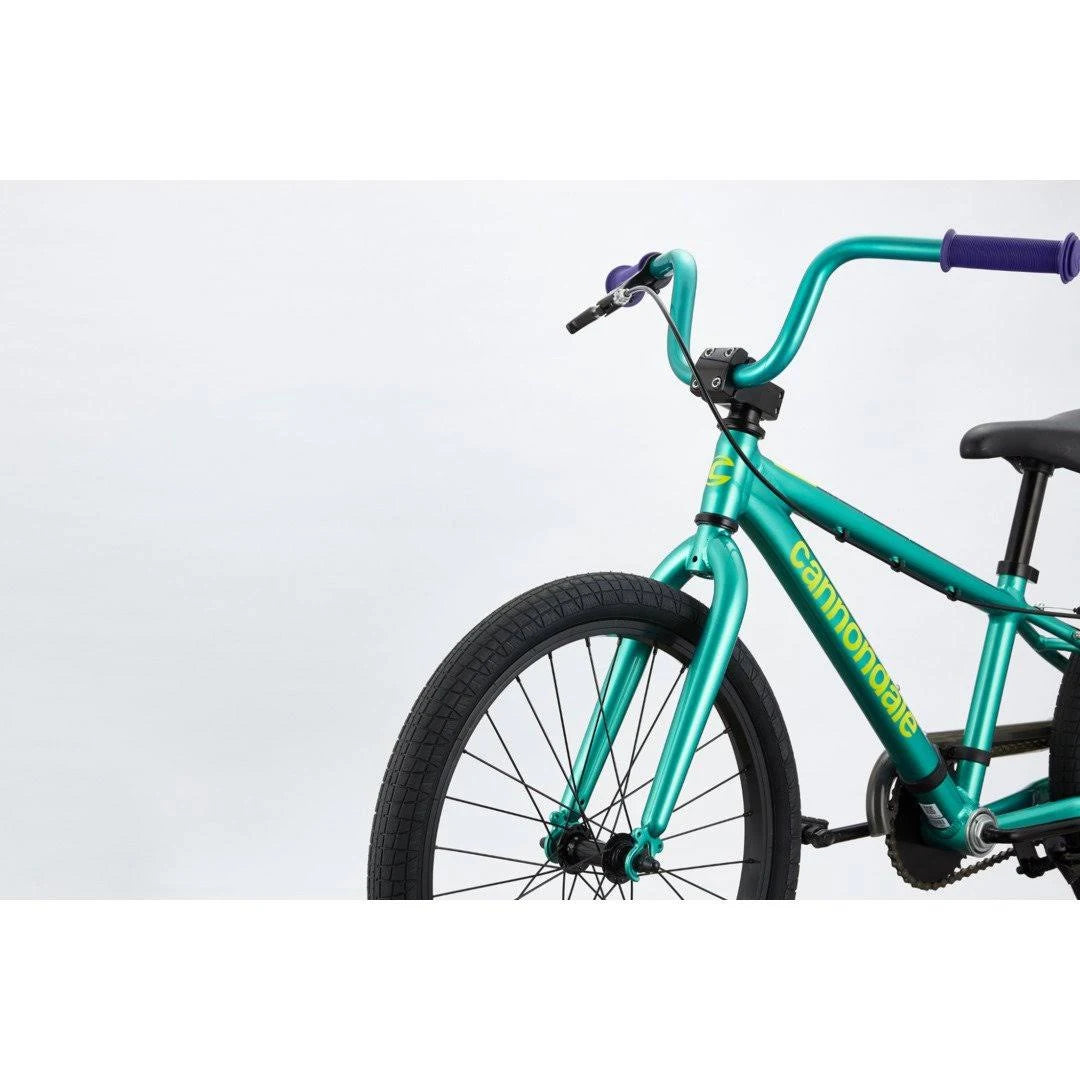 Turquoise 20 inch Kids Trail Bike N3337