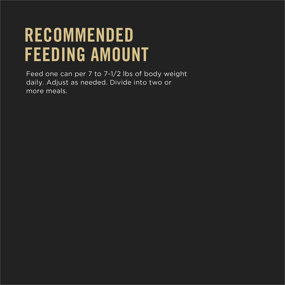 Wet Cat Food T6342