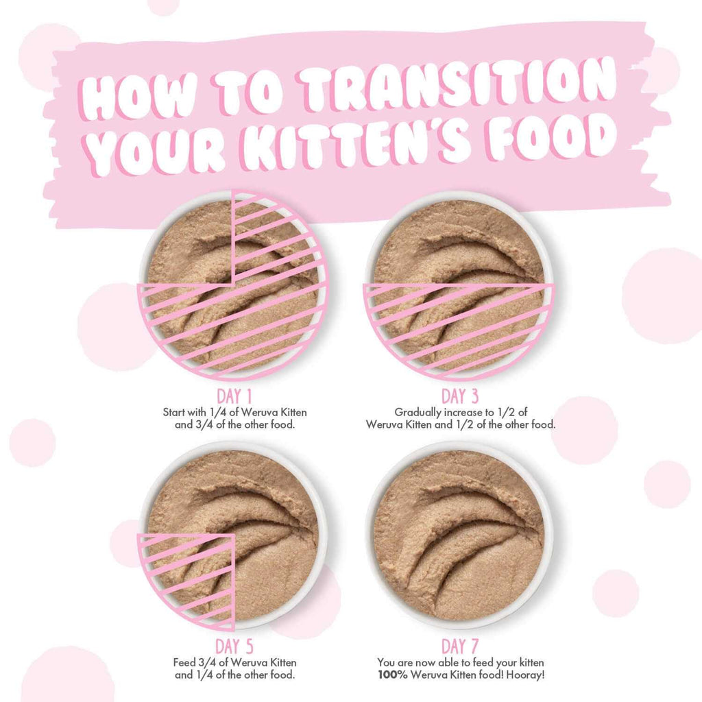 Chicken Breast Puree Wet Cat Food U314547