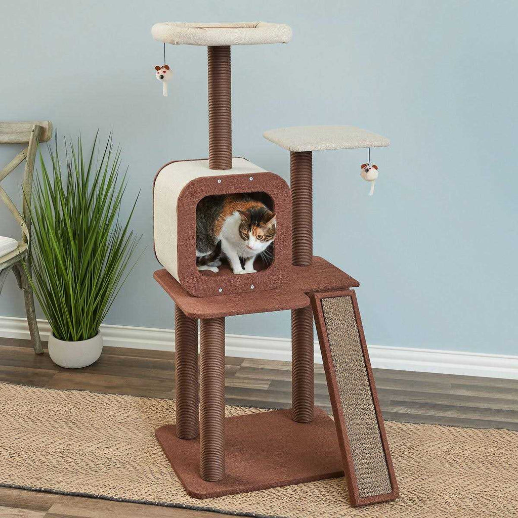 Redwood Cat Tree and Condo X100