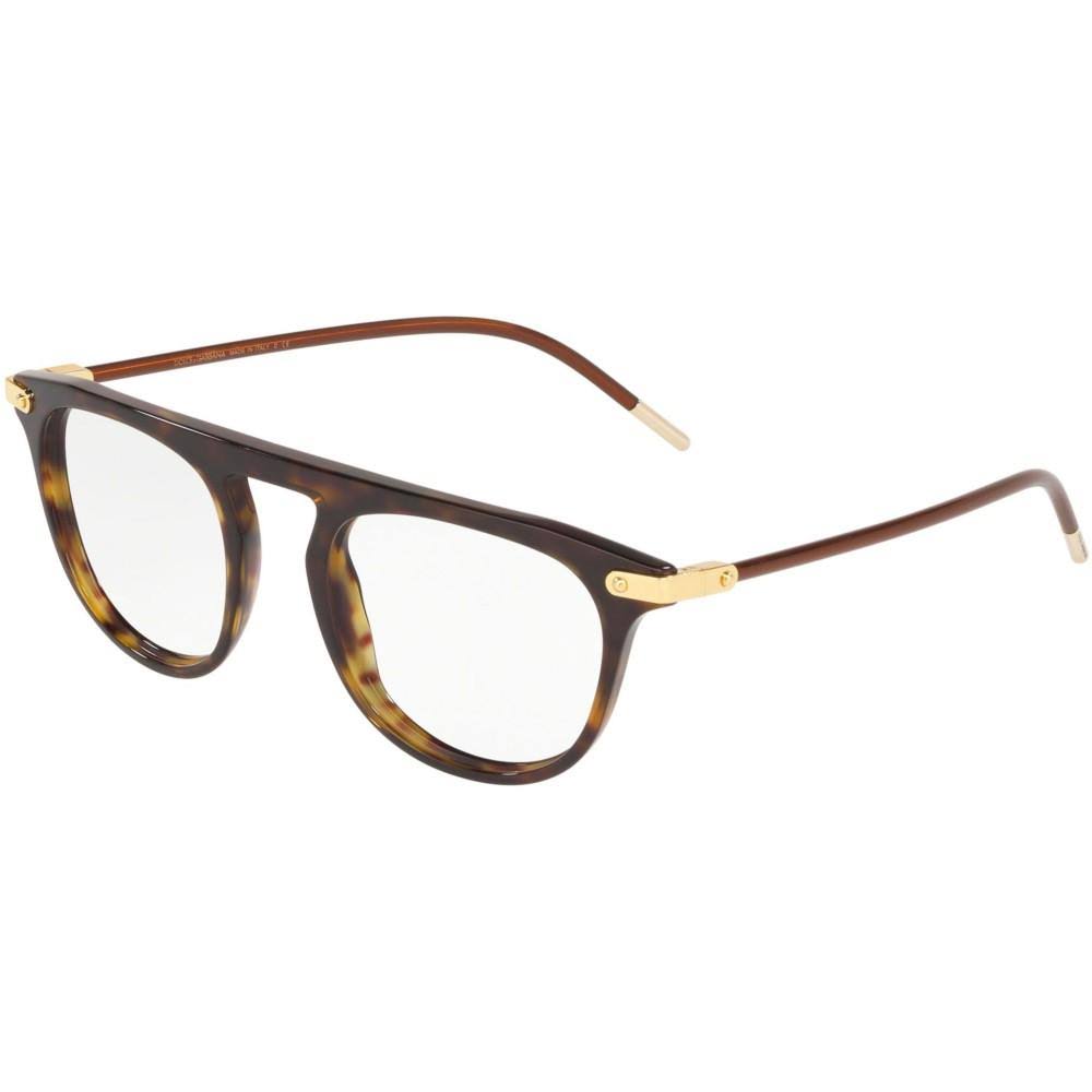 Havana Sunglasses W2613