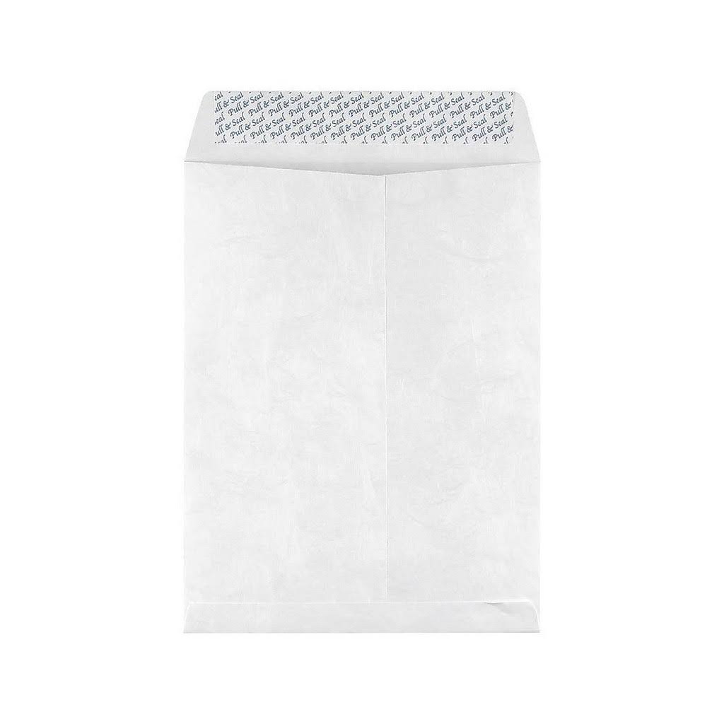 EasyClose Catalog Envelopes, White, 100/Box I20301