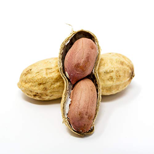 Whole in Shell Raw Peanuts 10lb N34085