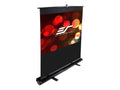 Projection Screen Q220499