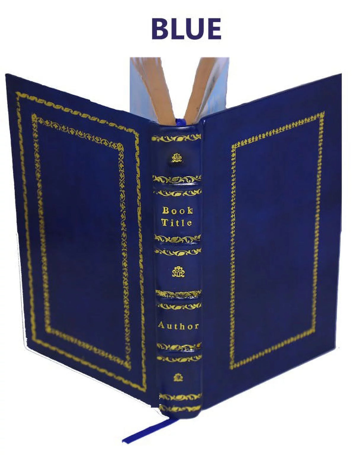 Genealogy of the Doty-Doten Family in America Volume 2 Leather Bound N2065