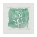 Canvas C86293