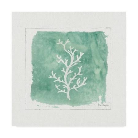 Canvas C86293