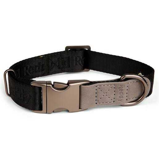 Dog Collar N69327