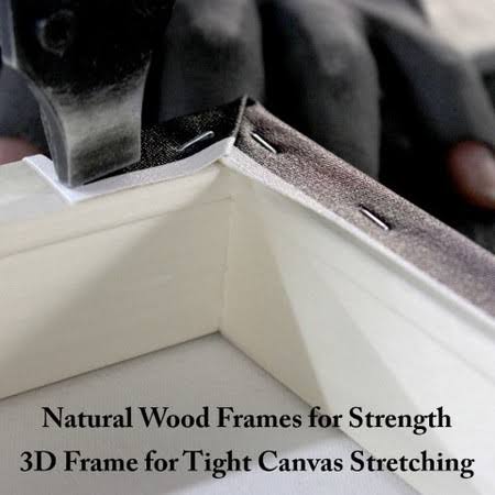 Canvas C86293