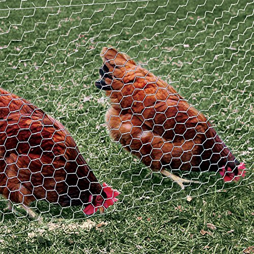2 Inch Mesh 24 Inch X 150 Foot 20 Gauge Galvanized Steel Wire Fence C8284