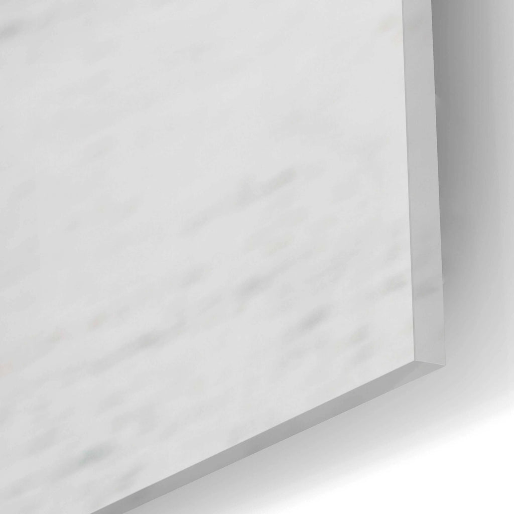 Acrylic Glass Wall Art C10182