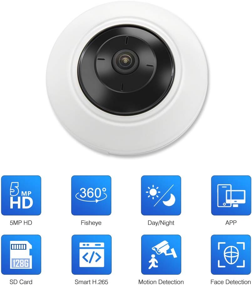 5 MP Fisheye Dome POE IP Camera A240