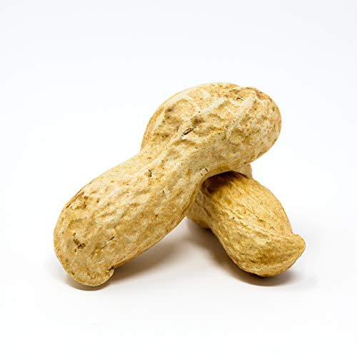 Whole in Shell Raw Peanuts 10lb N34085