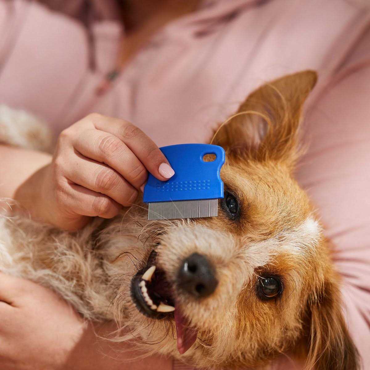 Tear Stain Remover Comb for Dogs Extra Fine Tooth D284