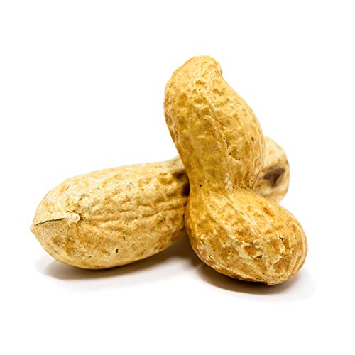 Whole in Shell Raw Peanuts 10lb N34085