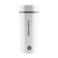 Portable Electric Kettle 350ML Stainless Steel Z174458