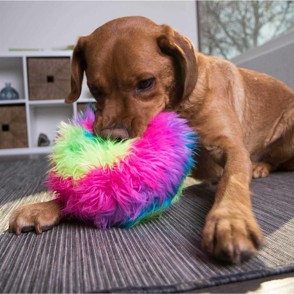 Dog Toy I4399