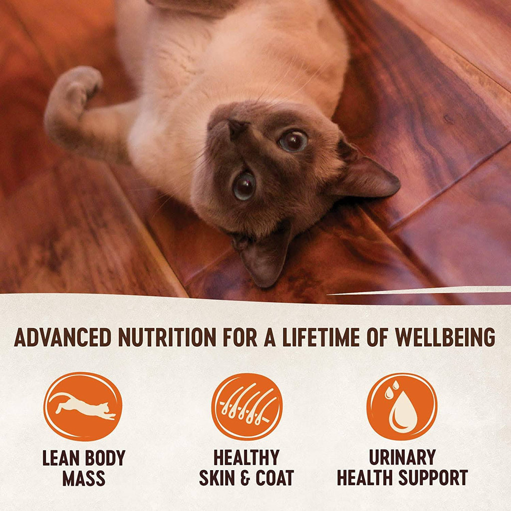 Grain-Free Pate Canned Cat Food, Chicken, Turkey & Chicken Liver, 5.5 oz Case of 24 O408
