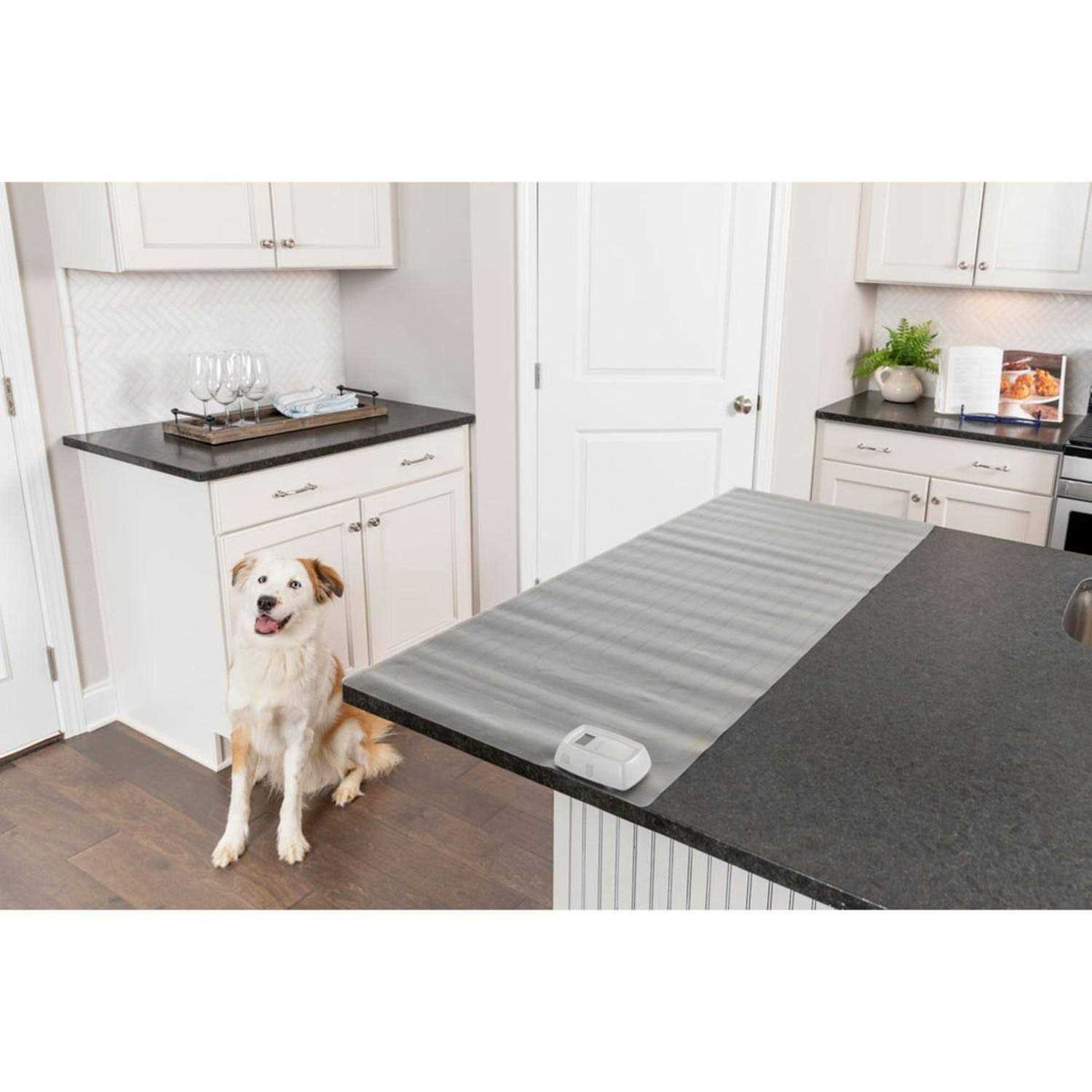 Indoor Training Mat R318