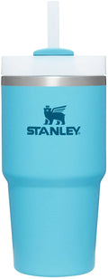 20 oz Stainless Steel Vacuum Insulated Tumbler with Lid and Straw F337414