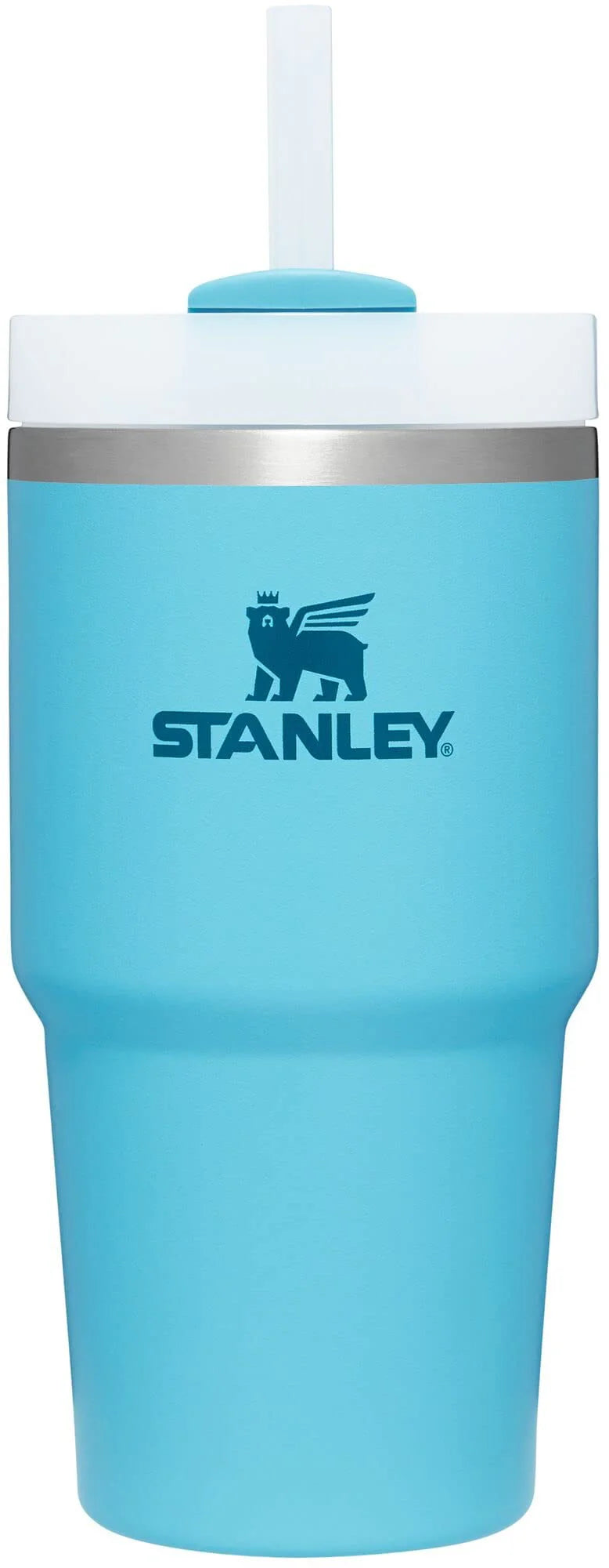20 oz Stainless Steel Vacuum Insulated Tumbler with Lid and Straw F337414