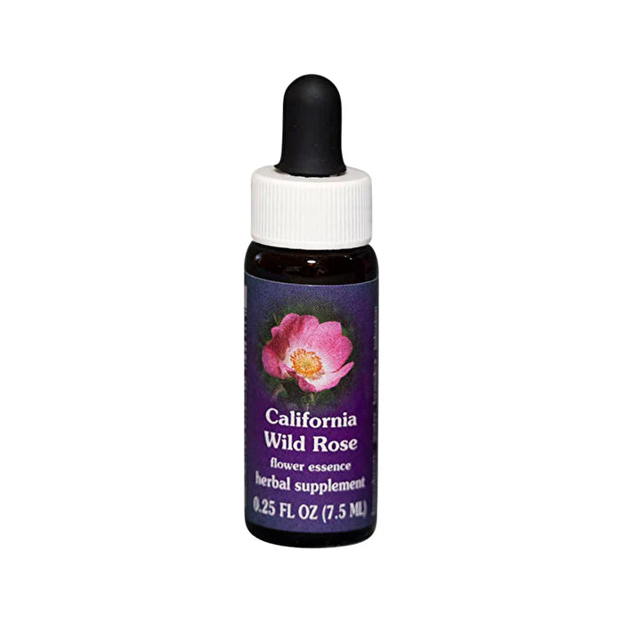 California Wild Rose Flower Essence 7.5ml Q1799