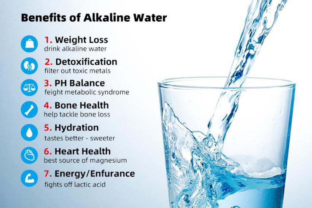 Alkaline Anytime 100 Gram Premium Large Water Filter Pouch Y6334
