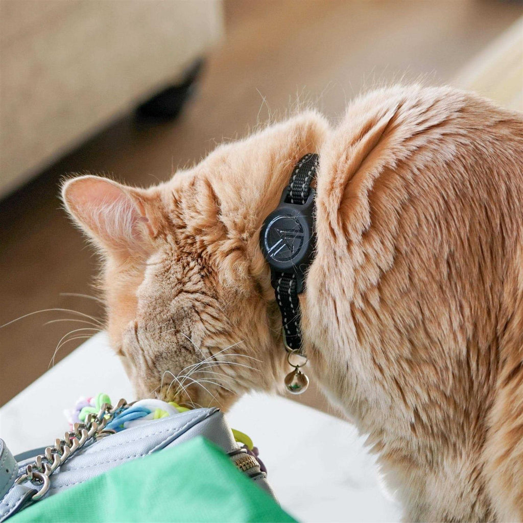 Reflective Breakaway Cat Collar with Tile Sticker Holder and Bell P813
