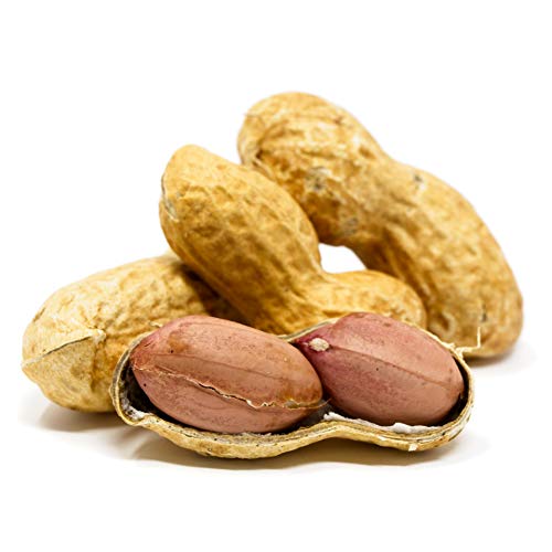 Whole in Shell Raw Peanuts 10lb N34085